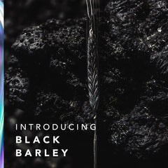 INTRODUCING NEW PATENTED BLACK BARLEY