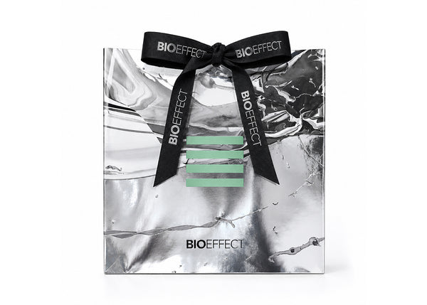 Holiday Gift Bag